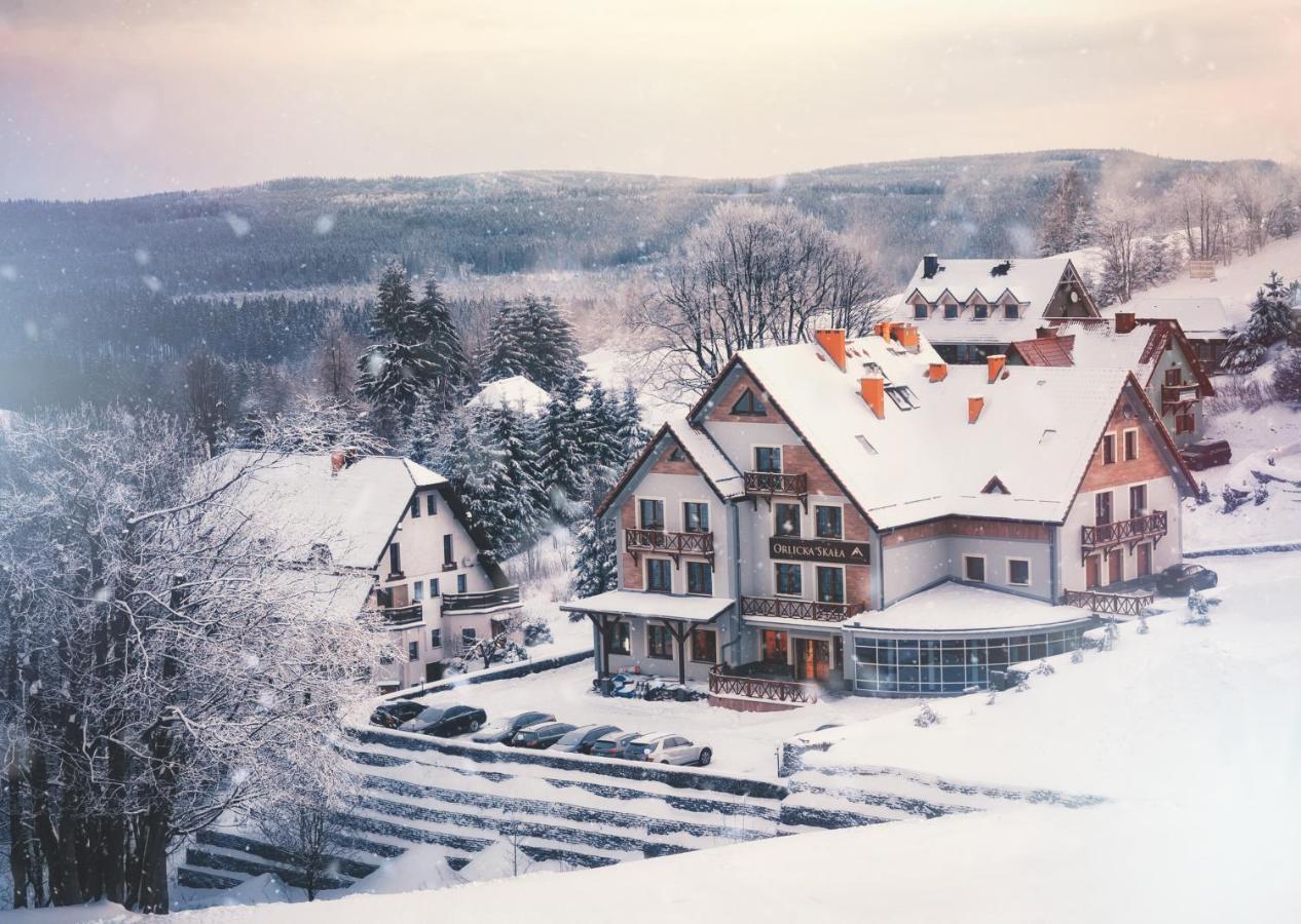 Bed and Breakfast Orlicka Skala Zieleniec  Exteriér fotografie